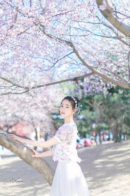 天堂W妖精外观加属性吗